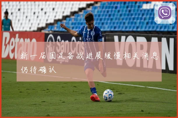 新一届国足备战进展缓慢相关消息仍待确认